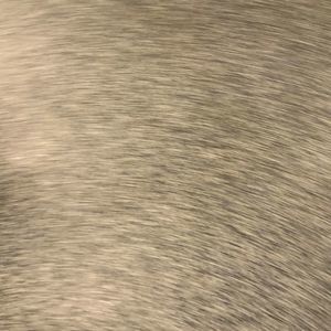 Meet your Posher, Oulay